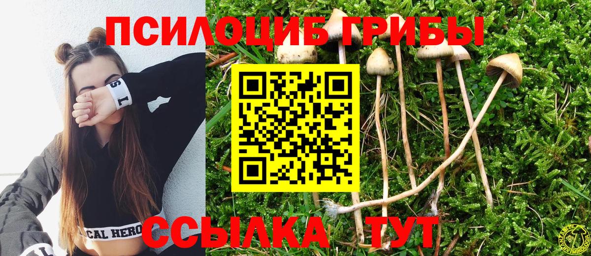 Псилоцибиновые грибы мицелий Троицк